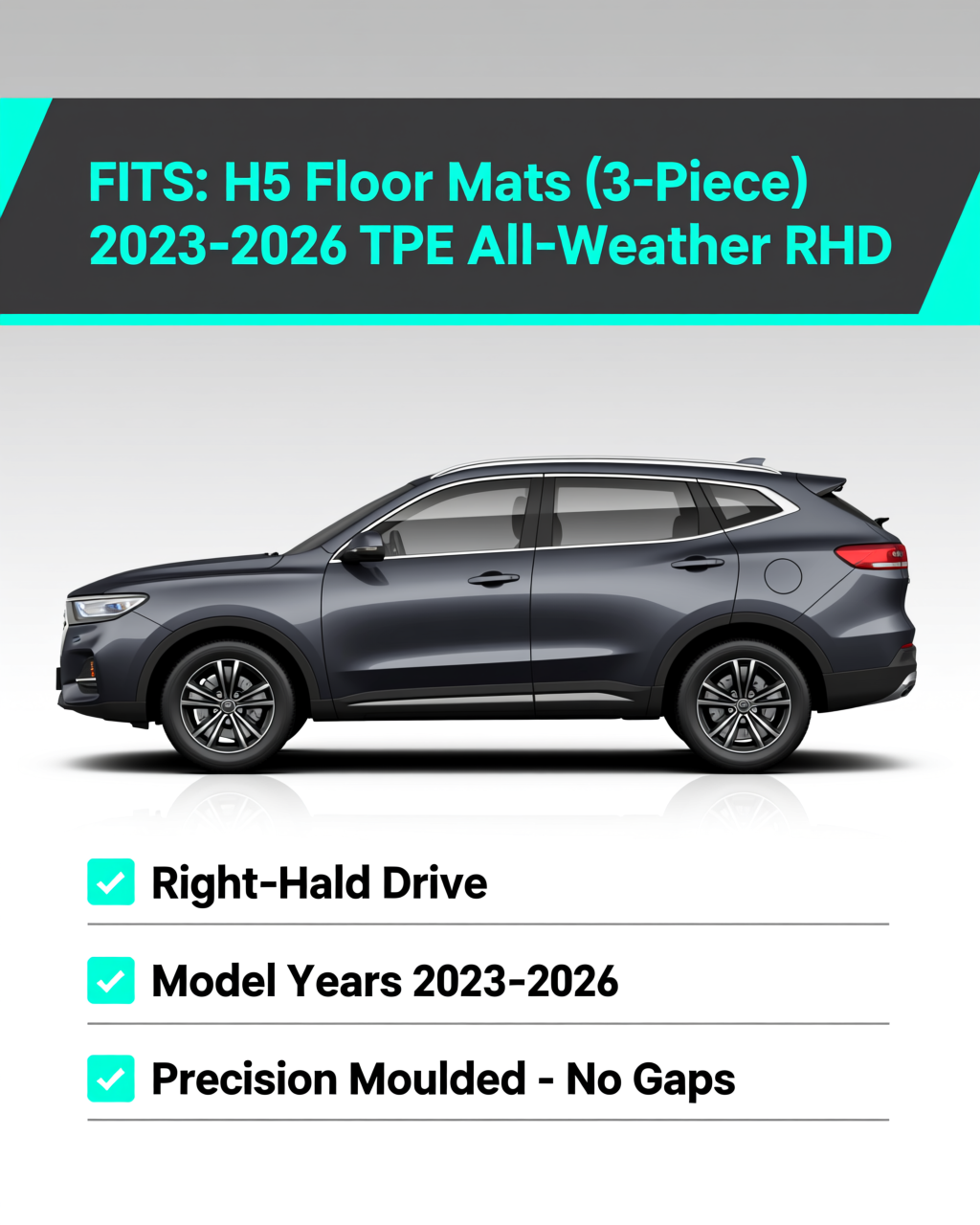 Haval H5 2023+ All-Weather Floor Mats vehicle fitment