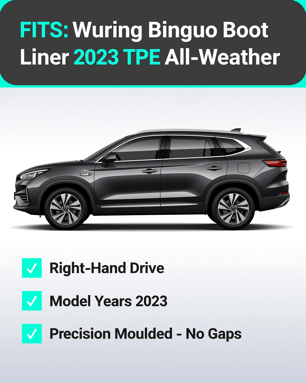 Wuling Binguo 2023+ Boot Liner & Seat Back Protectors vehicle fitment