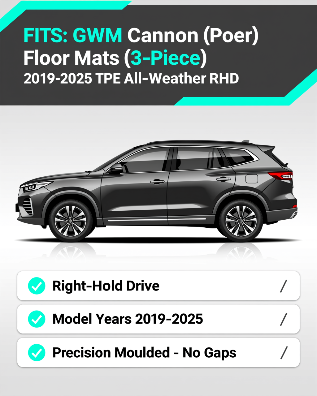 GWM Cannon (Poer) 2019-2025 All-Weather Floor Mats vehicle fitment