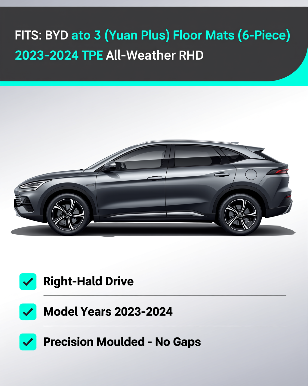 BYD Atto Family 2023-2024 All-Weather Floor Mats vehicle fitment