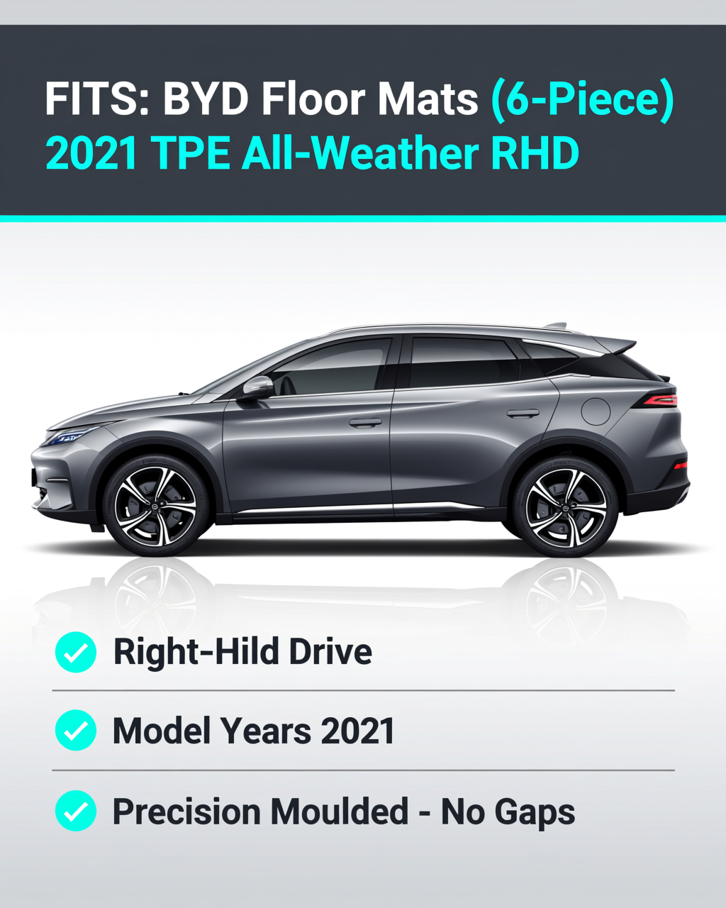 BYD Dolphin 2021+ All-Weather Floor Mats vehicle fitment